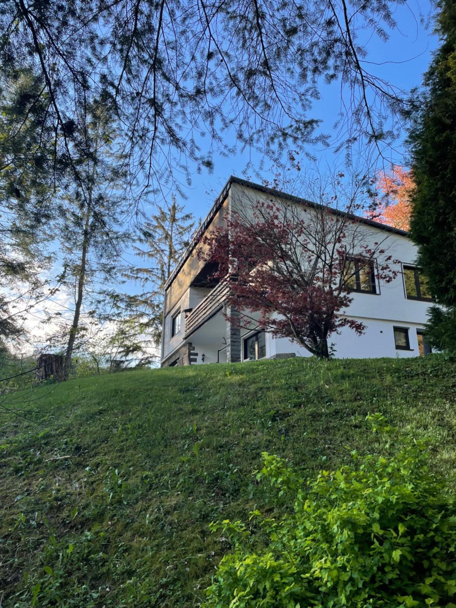 Talblick Chalet Blankenheim Blankenheim  Dış mekan fotoğraf